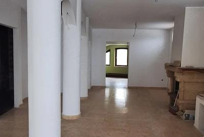 Spațiu comercial, de 350 mp, în Ultracentral - 3
