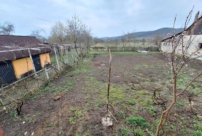 Casă individuală cu 3 camere cu Teren 1000 Mp în Agrij - 10