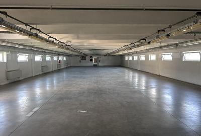 Spațiu comercial, de 1,000 mp, în Bălata - 2