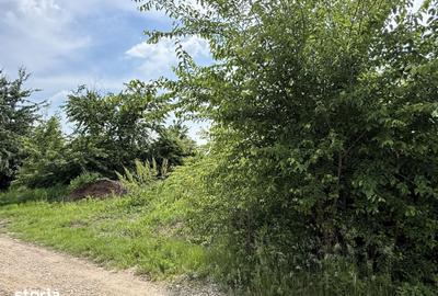 Teren de 498.02 mp, în Corbeanca