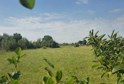 Casă cu Teren 5000 Mp în Odăeni