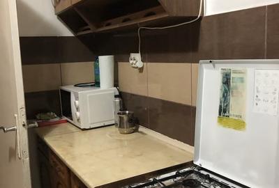 Apartament cu 2 camere semidecomandat, mobilat în Tudor Vladimirescu - 6
