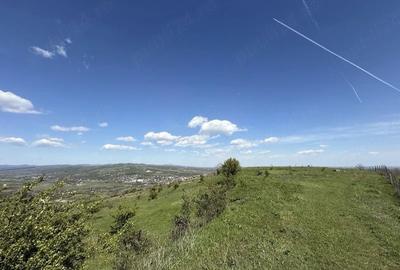 Teren de 116380 mp, în Central