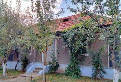 Casă cu 3 camere cu Teren 1500 Mp în Trifești - 1