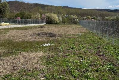 Teren de 1255 mp, în Bujoreni - 3