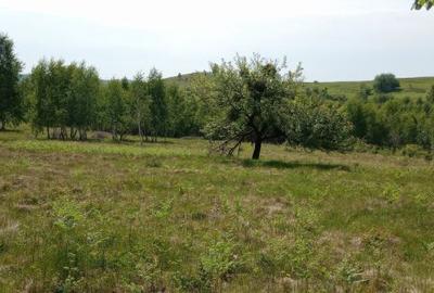 Teren intravilan de 900 mp, în Casele Micești - 2