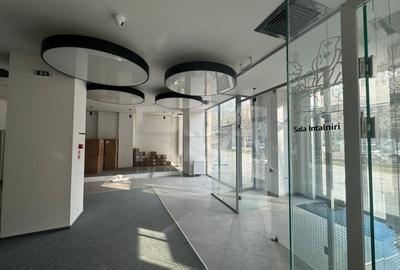 Spațiu comercial, de 1,135.8000488281 mp, în P-ța Alba Iulia - 8