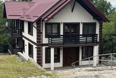 Casă cu 8 camere cu Teren 2800 Mp în Milcoiu - 2