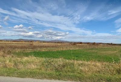 Teren de 3000 mp, în Măgureni - 4