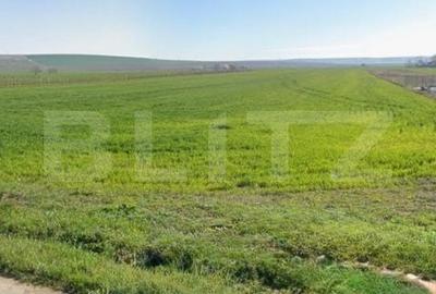 Teren de 1900 mp, în Dochia