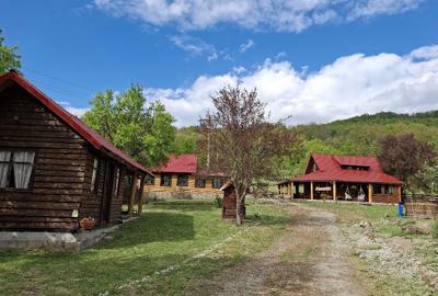 Casă cu 4 camere în Vârfurile - 6