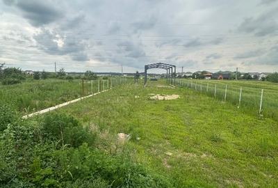 Teren Construcții intravilan de 2000 mp, în Săbăreni - 7