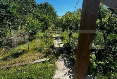 Teren de 9030 mp, în Central - 11