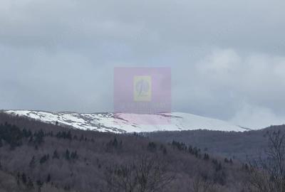 Teren de 2220 mp, în Valea Doftanei