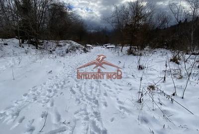 Teren de 3000 mp, în Porumbacu de Sus - 3