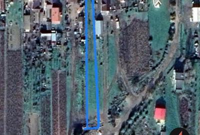 Teren de 2000 mp, în Ciuperceni - 1