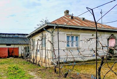Casă individuală cu 3 camere cu Teren 3800 Mp în Broscăuți