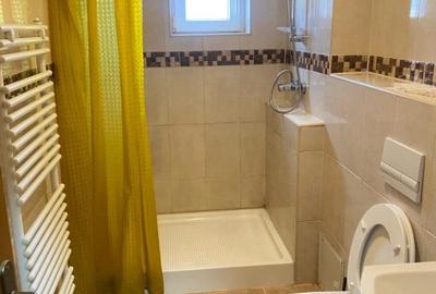 Apartament cu 2 camere semidecomandat în Micălaca - 6