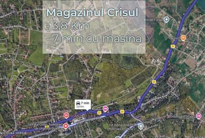 Teren de 750 mp, în Săldăbagiu de Munte - 4