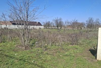 Teren de 1247 mp, în Lița