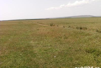 Teren de 9.5 mp, în Ceamurlia de Jos - 2