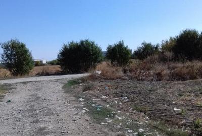 Teren Construcții intravilan de 120000 mp, în Est - 2