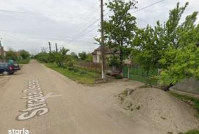 Casă cu 3 camere cu Teren 2329 Mp în Caraula - 6