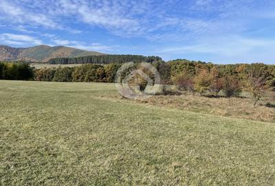 Teren agricol extravilan de 1342 mp, în Rășinari - 1