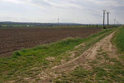 Teren de 14300 mp, în Central - 2