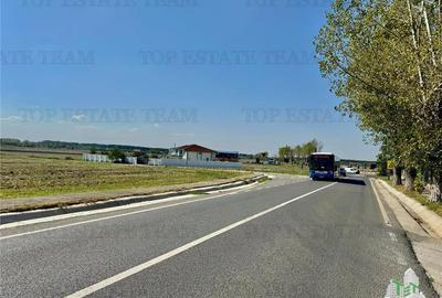 Teren Construcții intravilan de 12350 mp, în Central - 6