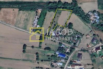 Teren Construcții intravilan de 3630 mp, în Tamași - 1