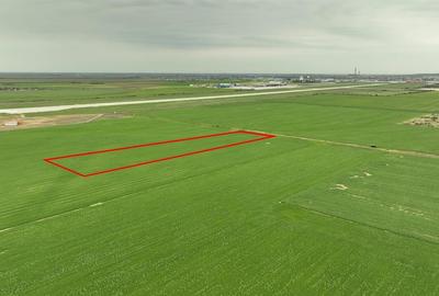 Teren Construcții intravilan de 5000 mp, în Nojorid - 1