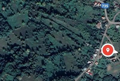 Teren de 4500 mp, în Albești - 1