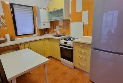 Apartament cu 2 camere semidecomandat în Bucium