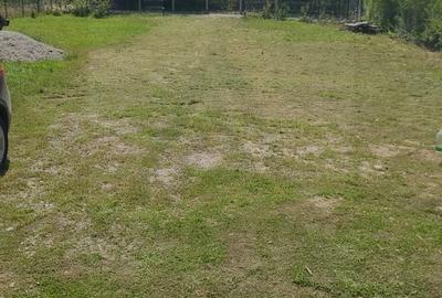 Casă cu 4 camere în Porumbacu de Sus - 4