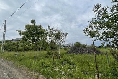 Teren de 529 mp, în Central - 5