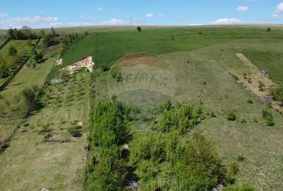 Teren Construcții intravilan de 2307 mp, în Sălicea - 9