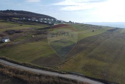 Teren agricol extravilan de 68403 mp, în Popești - 8