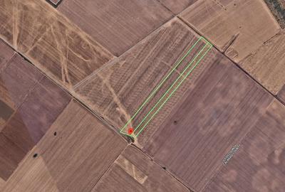 Teren agricol extravilan de 30900 mp, în Popești-Leordeni - 1