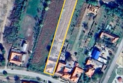 Casă cu 3 camere cu Teren 2868 Mp în Gavojdia - 3
