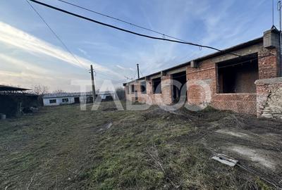 Spațiu industrial, de 1,205 mp, în Șercaia - 3