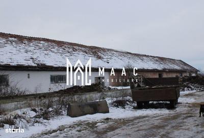 Teren de 10065 mp, în Ucea - 18