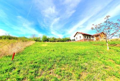 Teren Construcții intravilan de 708 mp, în Hamba - 4