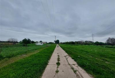 Teren agricol intravilan de 80000 mp, în Grădiște - 2