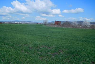 Teren Construcții intravilan de 868 mp, în Sopor - 3