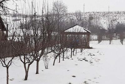 Teren de 4005 mp, în Girov - 10