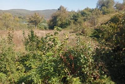 Teren de 500 mp, în Moigrad-Porolissum - 9