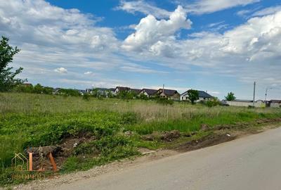 Teren Construcții intravilan de 10000 mp, în Domnești
