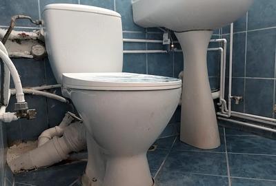 Garsonieră nedecomandată în Buziașului - 8