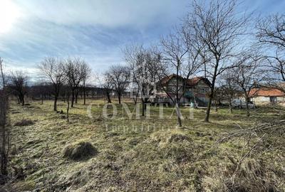 Teren Construcții intravilan de 1425 mp, în Chinteni - 2